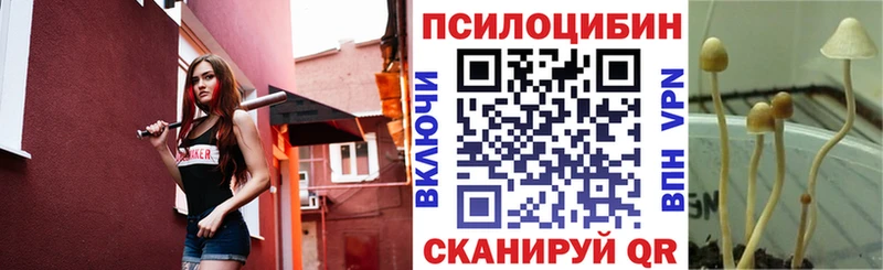 Псилоцибиновые грибы Psilocybine cubensis  MEGA ТОР  Железногорск-Илимский 